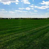 Рулонный газон (натуральный газон в рулонах), в Москве