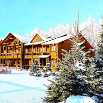 Новый год русского дачника, в Москве