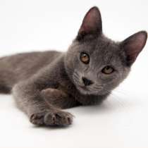 Нежная Аленушка мечтает стать частью дружной семьи, в Москве