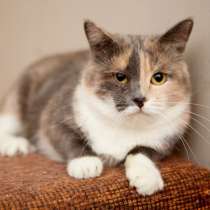 Ксюша надеется на встречу с хозяином, в Москве