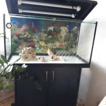 Продам аквариум, в Великом Новгороде