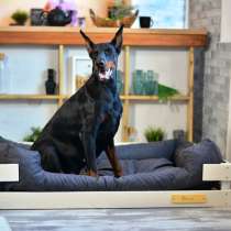 Лежанка для крупных собак, в Москве