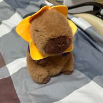 Капибара, в Москве