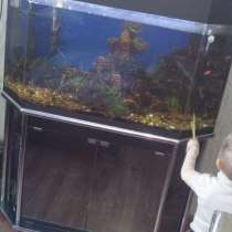 Продам аквариум, в г.Ташкент