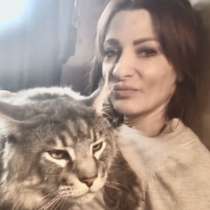 Мейн-куны, в Москве