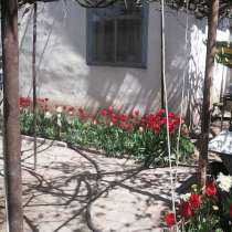 Продаю пол. дома на берегу Иссык-Куля, в г.Бишкек