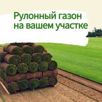 Живой натуральный рулонный газон, в Омске