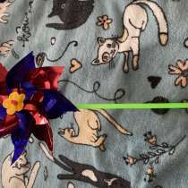 Вертушка-50 рублей, в Элисте