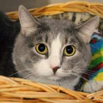 Упорный Титан верит в свою удачу, в Москве