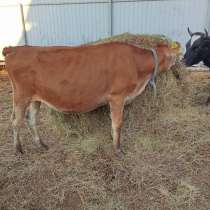 Продаю, в Конаково