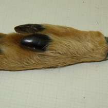 Открывалка с ручкой из копыта косули (X104), в Москве