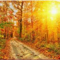 Картины и постеры для дома Магазин-Картин, в Самаре