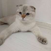 Продается, в г.Стамбул