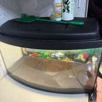 Аквариум, в г.Калининград