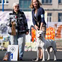 Вязка, в Самаре