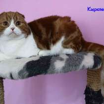 Кирюша мальчик, в г.Алматы