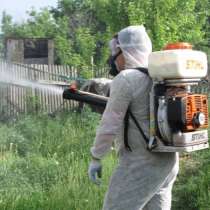 Уничтожение комаров, в Симферополе