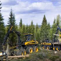 Требуются услуги лесозаготовительного комплекса, в Красноярске