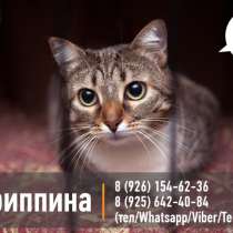 Скромница Агриппина ищет любящую семью, в Москве