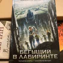 Книга бегущий в лабиринте, в Благовещенске