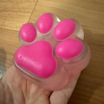 Табо лапка (сквиш), в Краснодаре