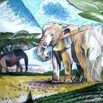 Картина Слоны (графика), в Саратове