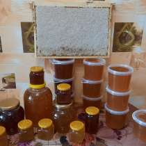 Свежий мёд с собственной пасеки, в Тюмени