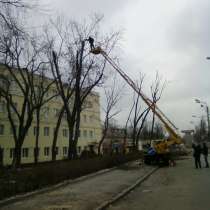 СПИЛ ДЕРЕВЬЕВ ЛЮБОЙ СЛОЖНОСТИ, ВЫВОЗ МУСОРА, ДРОВА, в Нижнем Новгороде