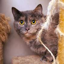 Миссури ждет встречи с особенным человеком, в Москве