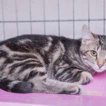 Застенчивый Матвей ищет семью, в Москве