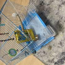 Клетка для птиц, в Москве