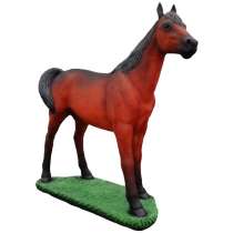 Лошадь, в Майкопе