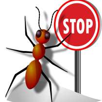 Муравьи. Комплексное уничтожение любых видов. Гарантии, в Москве
