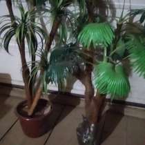 Искусственные пальмы, в Можге