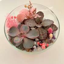 Флорариум, в Перми