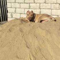 Даром, в Нальчике