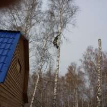Спил, снос, удаление аварийных деревьев, в Новосибирске