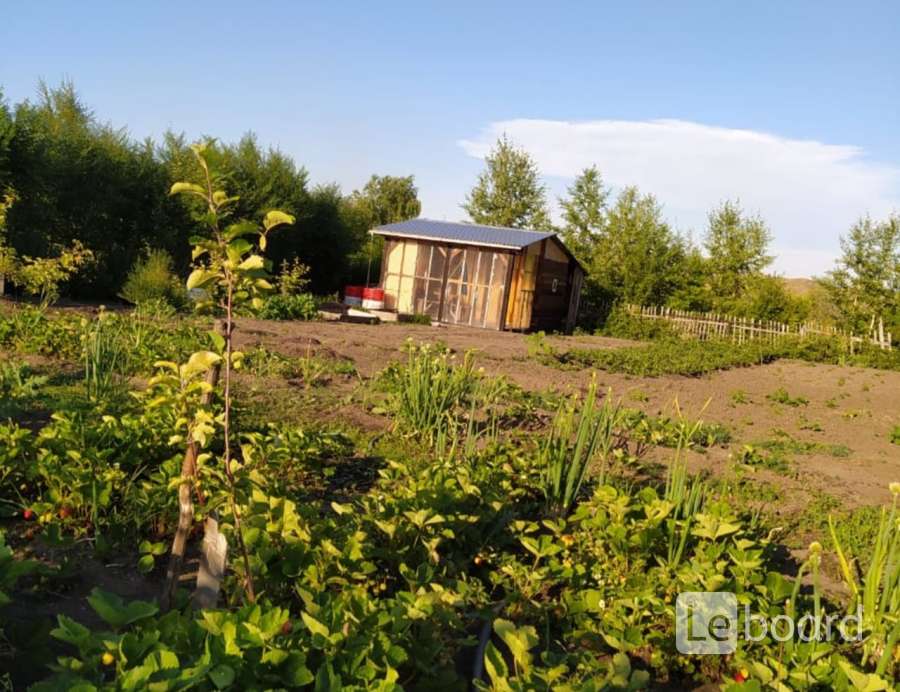 Дача В Усть Каменогорске Фото